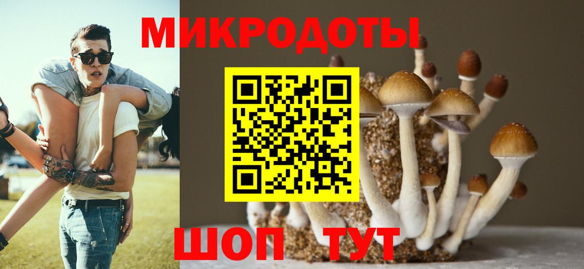 Кировск  Псилоцибиновые грибы Psilocybine cubensis  Вход с VPN  Галлюциногенные грибы MAGIC MUSHROOMS 